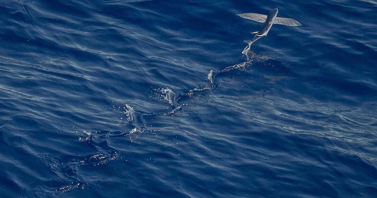 Veelgemaakte fouten bij het zoeken naar commerciële ruimte